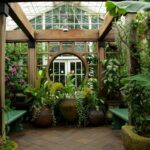 Зимний сад Зимний сад