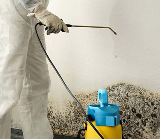 Где заказать уничтожение плесени: услуги, особенности, опасность размножения плесени и преимущества Где заказать уничтожение плесени: услуги, особенности, опасность размножения плесени и преимущества