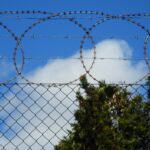 Колючая проволока: как выбрать и для чего нужна? Колючая проволока: как выбрать и для чего нужна?