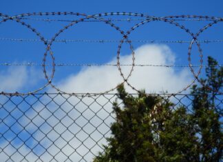 Колючая проволока: как выбрать и для чего нужна? Колючая проволока: как выбрать и для чего нужна?