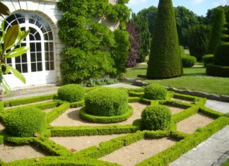 Ландшафтный дизайн и для чего он нужен? Ландшафтный дизайн и для чего он нужен?