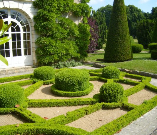 Ландшафтный дизайн и для чего он нужен? Ландшафтный дизайн и для чего он нужен?