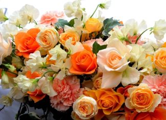 Какие цветы подарить женщине на юбилей? 1656932991_35-bronk-club-p-otkritka-tsveti-krasivie-zhenshchine-krasi-35-2207931