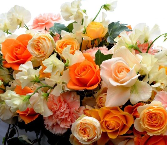 Какие цветы подарить женщине на юбилей? 1656932991_35-bronk-club-p-otkritka-tsveti-krasivie-zhenshchine-krasi-35-2207931