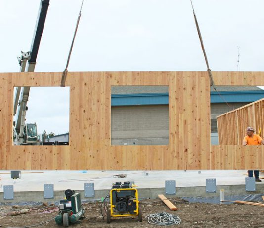 Прочность слоев и безопасность CLT-панелей