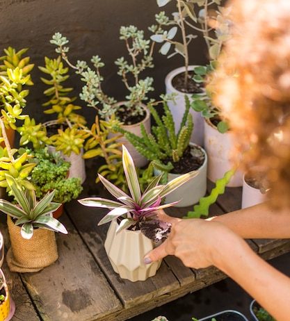 Правила укладки ламината для идеального пола