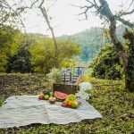 Секреты эффективной организации пространства на даче