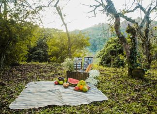 Секреты эффективной организации пространства на даче