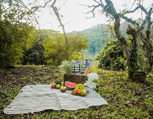 Секреты эффективной организации пространства на даче