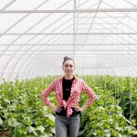 Как выбрать парник для дачи: полезные советы для начинающих и опытных огородников