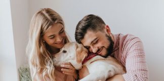 Домашние животные и безопасность: какие правила стоит знать владельцам