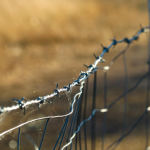 Безопасность при работе с колючей проволокой: как избежать травм