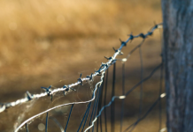 Безопасность при работе с колючей проволокой: как избежать травм