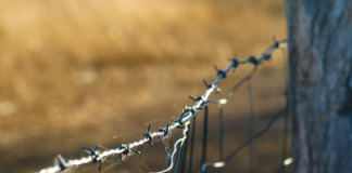 Безопасность при работе с колючей проволокой: как избежать травм
